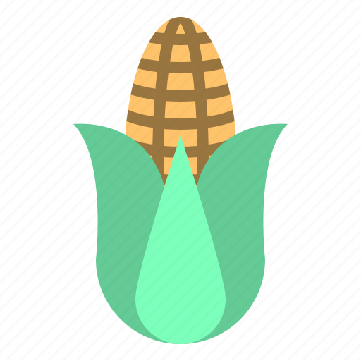 Thanksgiving, corn, grain, food, vegetable, agriculter icon - Download on Iconfinder