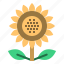 thanksgiving, sunflower, flower, farm, blossom, garden 