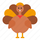 animal, bird, thanksgiving, turkey