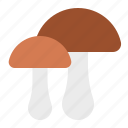 fungi, mushroom, thanksgiving
