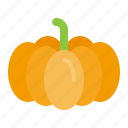 food, pumpkin, thanksgiving, vegetable