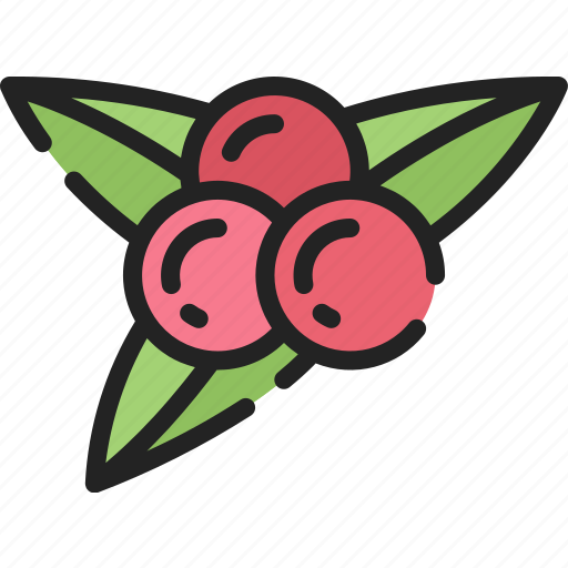 Berries, dinner, food, holiday, thanksgiving icon - Download on Iconfinder