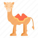 camel, animal, mammal, hump, desert, arabic, arab, wildlife, egypt