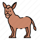 donkey, animal, mammal, farm, domestic, wildlife, zoo, horse, wild