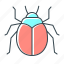 bug, beetle, error, virus, web 