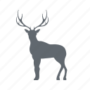 animal, deer, horn, nature