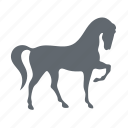 animal, farm, horse, sport