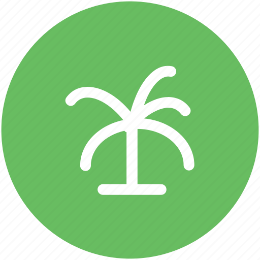 Beach, coconut tree, date tree, island, palm, palm tree icon - Download on Iconfinder