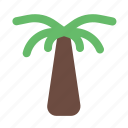 palm, tree, tropical, island, nature