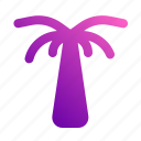 palm, tree, tropical, island, nature