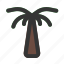 palm, tree, tropical, island, nature 