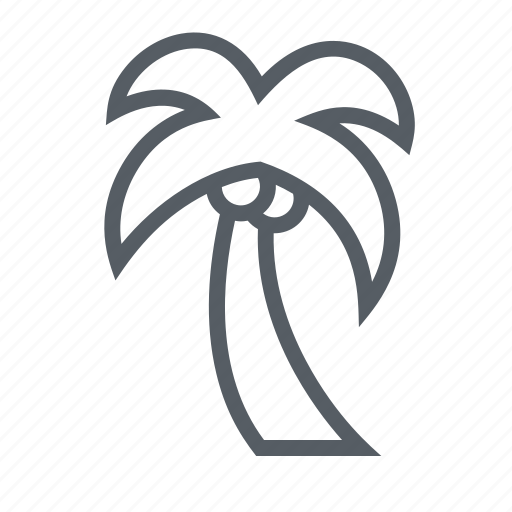 Coconut, palm, travel, tree, tropical icon - Download on Iconfinder