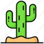 cactus, plant, dessert, travel, prickly, greenery, plants 