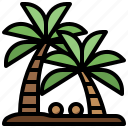 nature, palm, summertime, tree, tropical