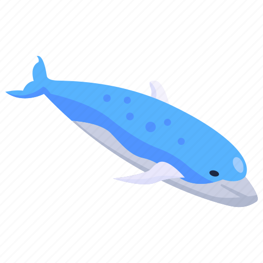 Whale, aquatic placental, marine mammal, sea creature, aquatic animal icon - Download on Iconfinder