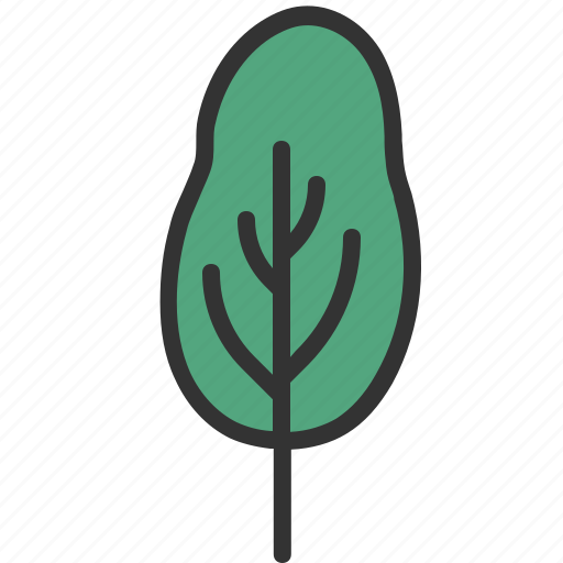 Tree, fo, nature, forest, garden, leaf icon - Download on Iconfinder
