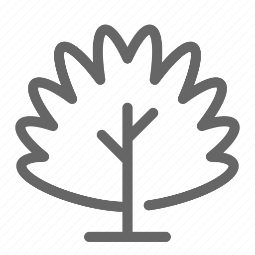 Arbor, arbour, christmas, nature, plant, tree, wood icon - Download on Iconfinder