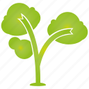 green, leaf, plant, tree