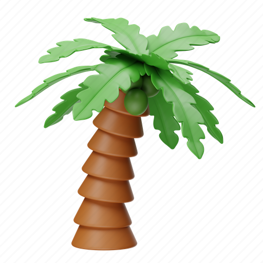 Coconut, tree, plant, decoration, nature, forest, tropical 3D illustration - Download on Iconfinder