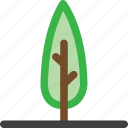 cactus, color, forest, grow, nature, plant, tree 