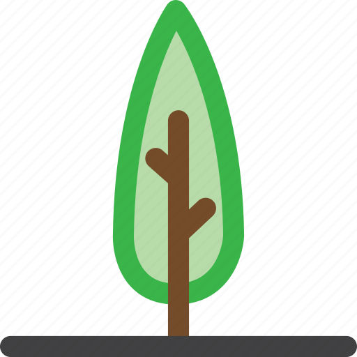 Cactus, color, forest, grow, nature, plant, tree icon - Download on Iconfinder