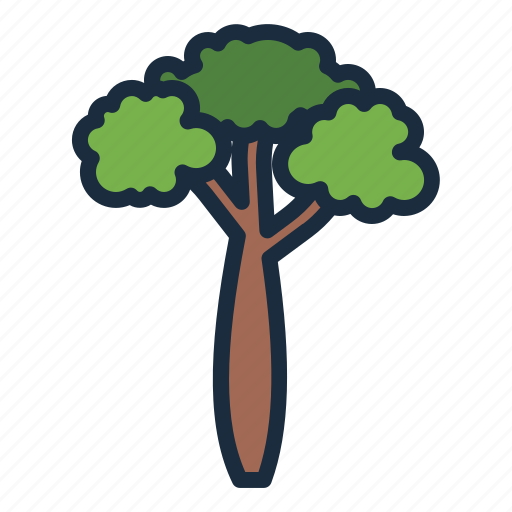 Brachychiton, tree, botanical, nature, ecology icon - Download on Iconfinder