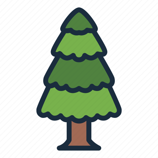 Pine, tree, botanical, nature, ecology icon - Download on Iconfinder