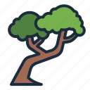 tree, botanical, nature, ecology, 3