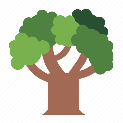 Oak, tree, botanical, nature, ecology icon - Download on Iconfinder