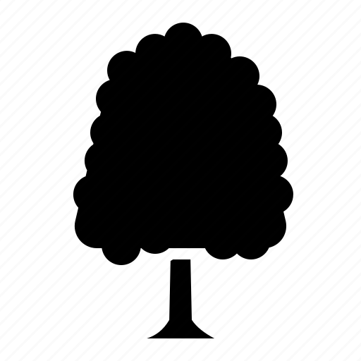 Elm, tree, botanical, nature, ecology icon - Download on Iconfinder