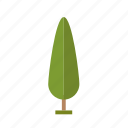 .svg, forest, jungle, nature, perennial, pine, tree