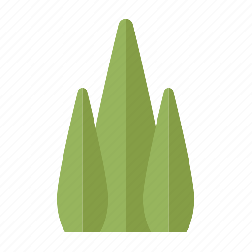 Nature, forest, jungle, bush, tree, shrub icon - Download on Iconfinder