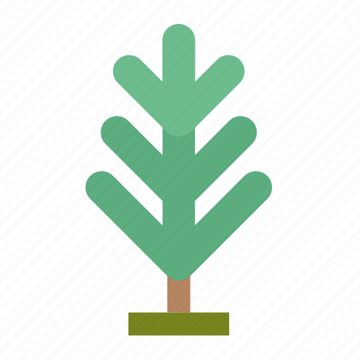 3, forest, infographic, nature, perennial, pine, tree icon - Download on Iconfinder
