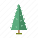 .svg, forest, infographic, nature, perennial, pine, tree