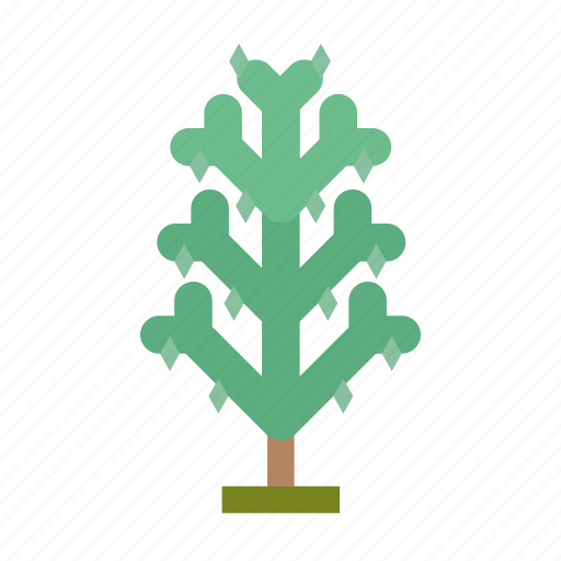 .svg, forest, infographic, nature, perennial, pine, tree icon - Download on Iconfinder