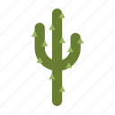 .svg, cactus, desert, nature, tree