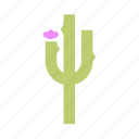 .svg, cactus, desert, nature, tree
