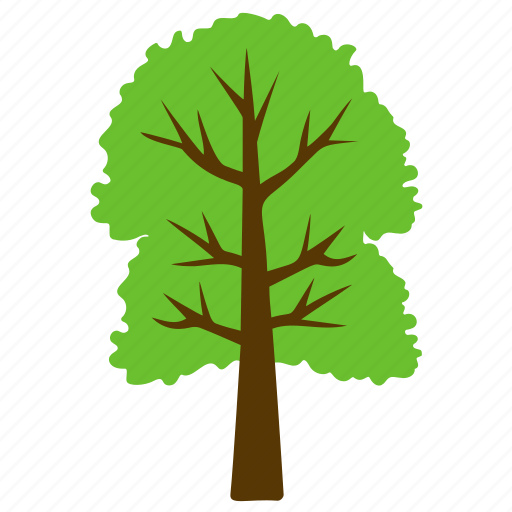 Cimmaron ash, forest, fraxinus pennsylvanica, greenery, tree icon - Download on Iconfinder
