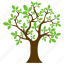 charter oak tree, deciduous tree, evergreen, forestry, shrub tree 