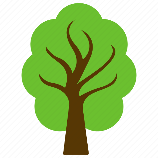 Agriculture, american elm, decorative tree, forest tree, forestry icon - Download on Iconfinder