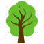 agriculture, american elm, decorative tree, forest tree, forestry 