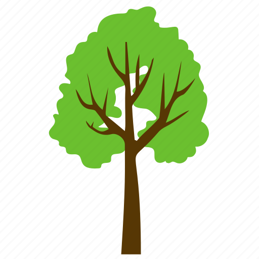 Basswood tree, forest, generic tree, greenery, odorless wood icon - Download on Iconfinder