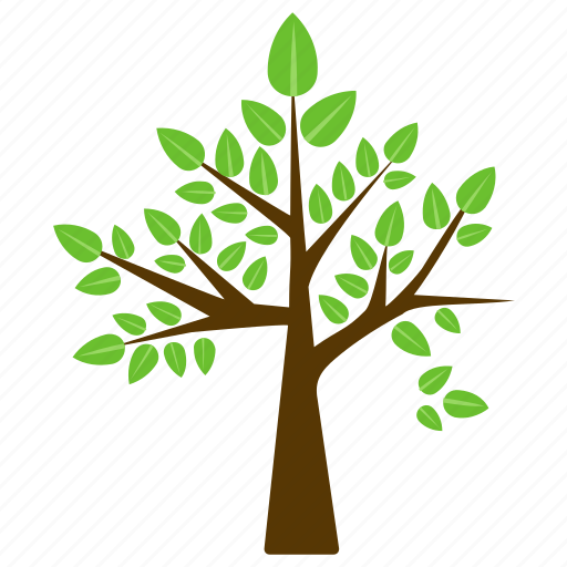 Betula nigra, birch tree, ecology, nature, river birch icon - Download on Iconfinder