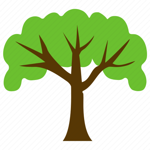 Beech tree, british trees, dense, firewood, forestry icon - Download on Iconfinder