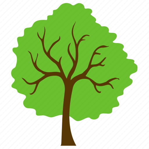 Ecology, flowering tree, generic tree, jerusalem thorn, nature icon - Download on Iconfinder