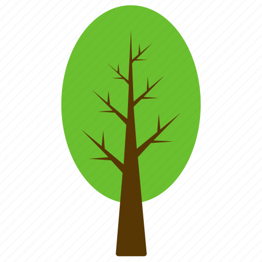 Columnar beech, evergreen tree, forest, generic tree, tree icon - Download on Iconfinder