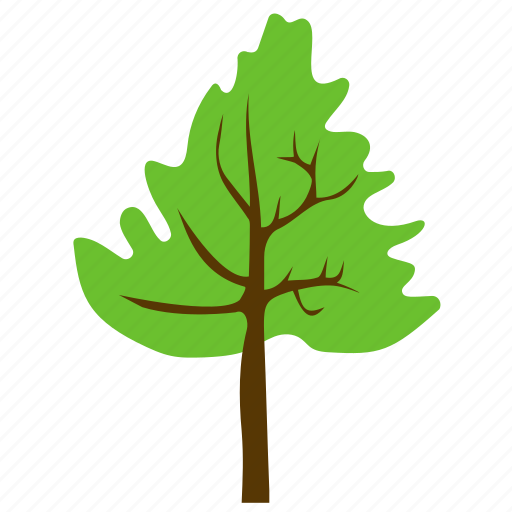 Agriculture, broad leaves tree, cedar tree, cedar wood, forest tree icon - Download on Iconfinder