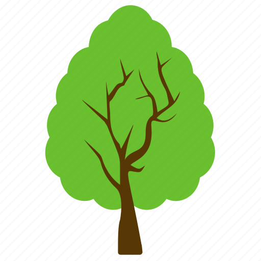 Afghan pine, forest, generic tree, greenery, tree icon - Download on Iconfinder