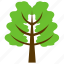canadian hemlock, eastern hemlock, eastern hemlock-spruce, greenery, nature 