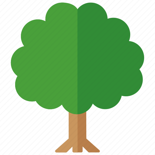 Ash, deciduous, foliage, generic, parkland, tree icon - Download on Iconfinder